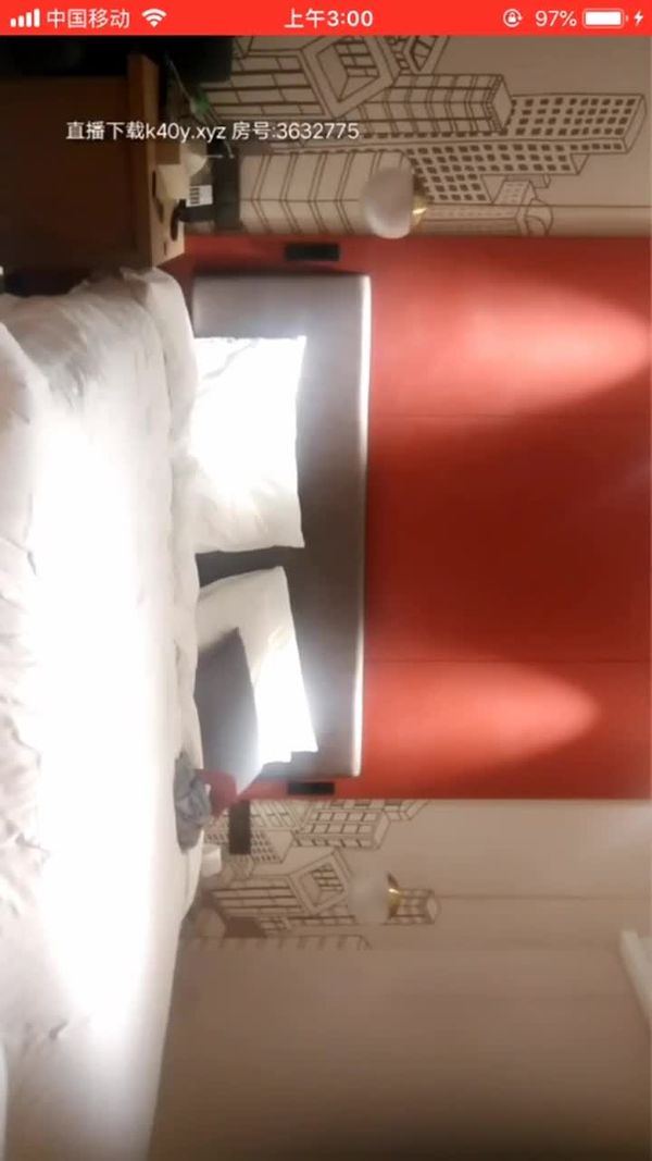 全国探花 200810 4