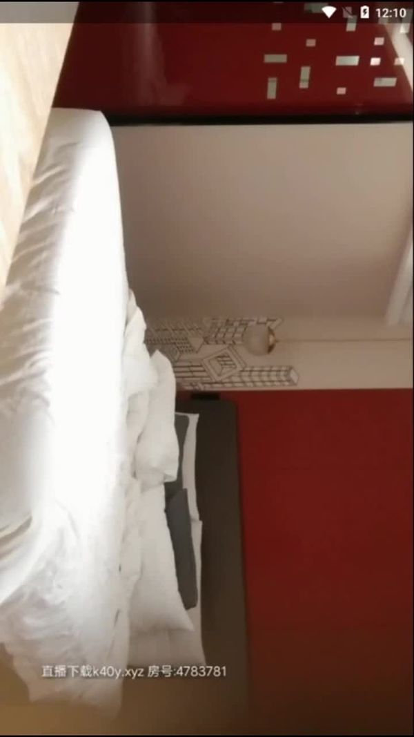 全国探花 200810 5