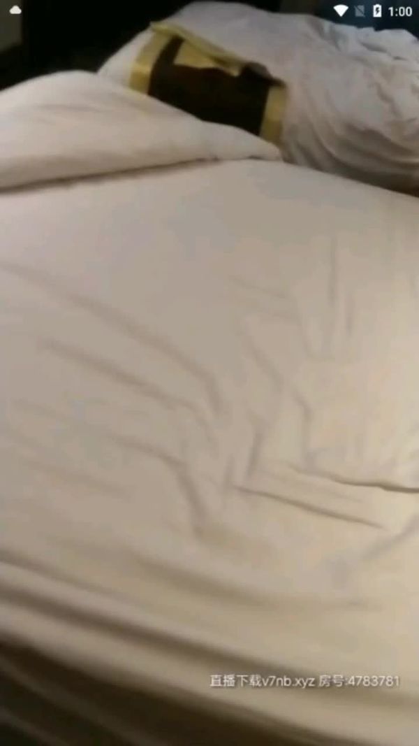 全国探花 200810 11月9日两个极品mo特4P