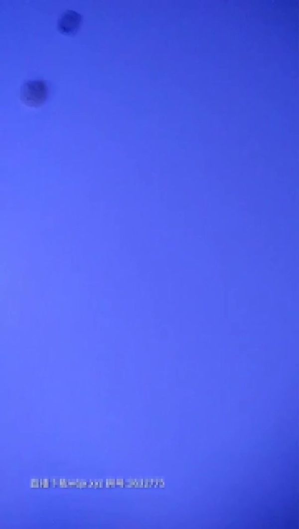 全国探花 200810 12202