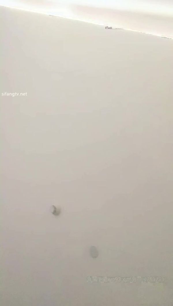 雀儿满天飞 0809 20200218 (3)