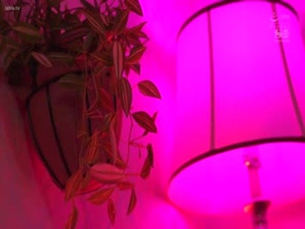 SONE-440 黑岛丽，沉迷于弹跳到漂浮在空中的扭曲虾子的春药性交的清纯女大学生 - 黑岛玲衣