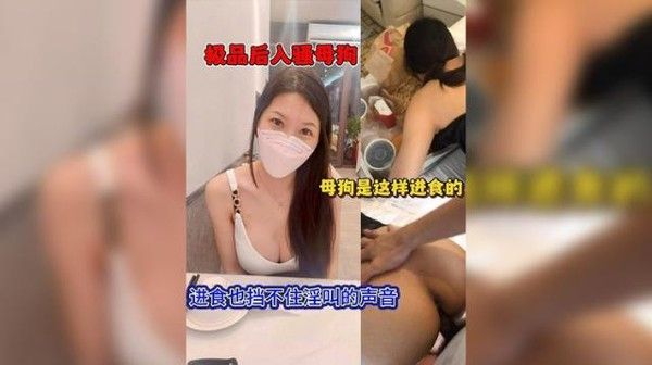 极品后入骚母狗