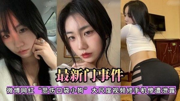 微博网红【悲伤口袋小狗】大尺度视频修手机惨遗泄露